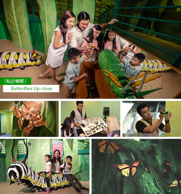 乐高世界最震撼的乐园,乐高超大型主题乐园搭建