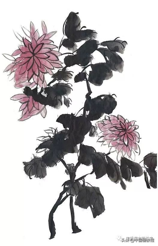 菊花花头花苞画法,菊花花头的画法步骤图片