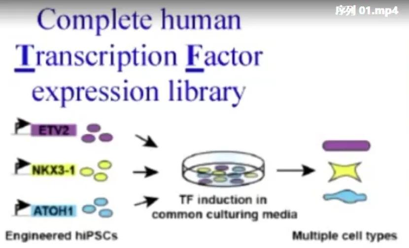 基因合成生物学,合成生物学与基因
