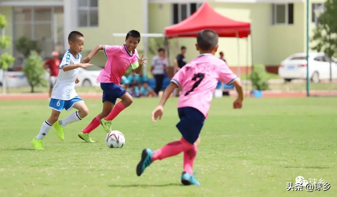 区中小学足球联赛,体教融合杯中学篮球赛