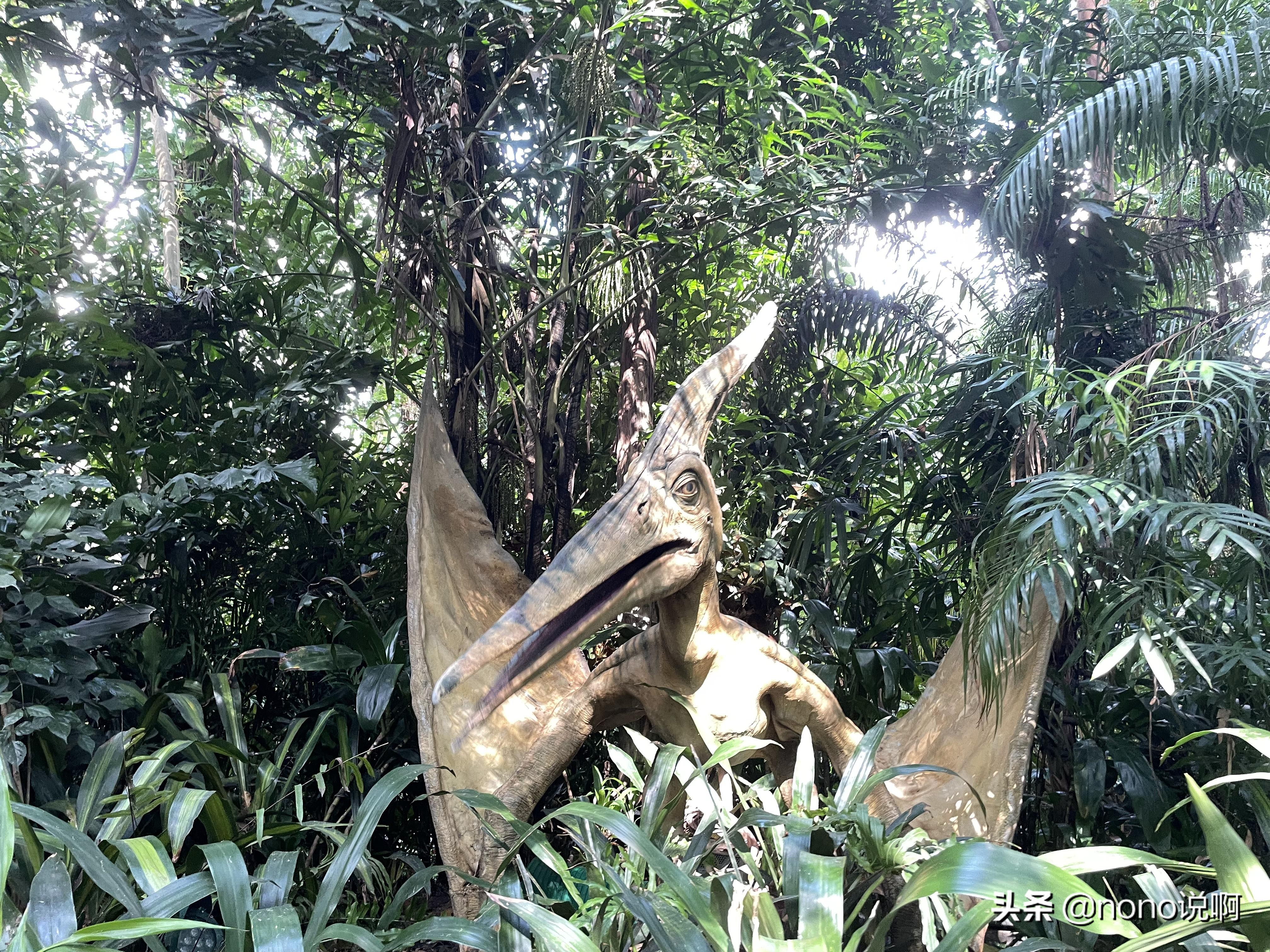 广州长隆野生动物园亲子旅游攻略,11月广州长隆野生动物园游玩攻略