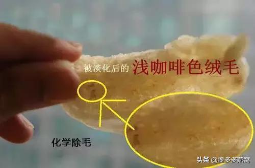 燕窝和可以吃的燕窝有什么区别,燕窝和燕窝有什么区别