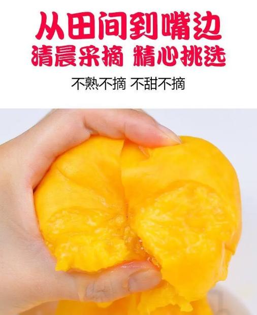 黄金蟠桃香甜美味脆甜多汁,脆甜爽口的黄金大蟠桃