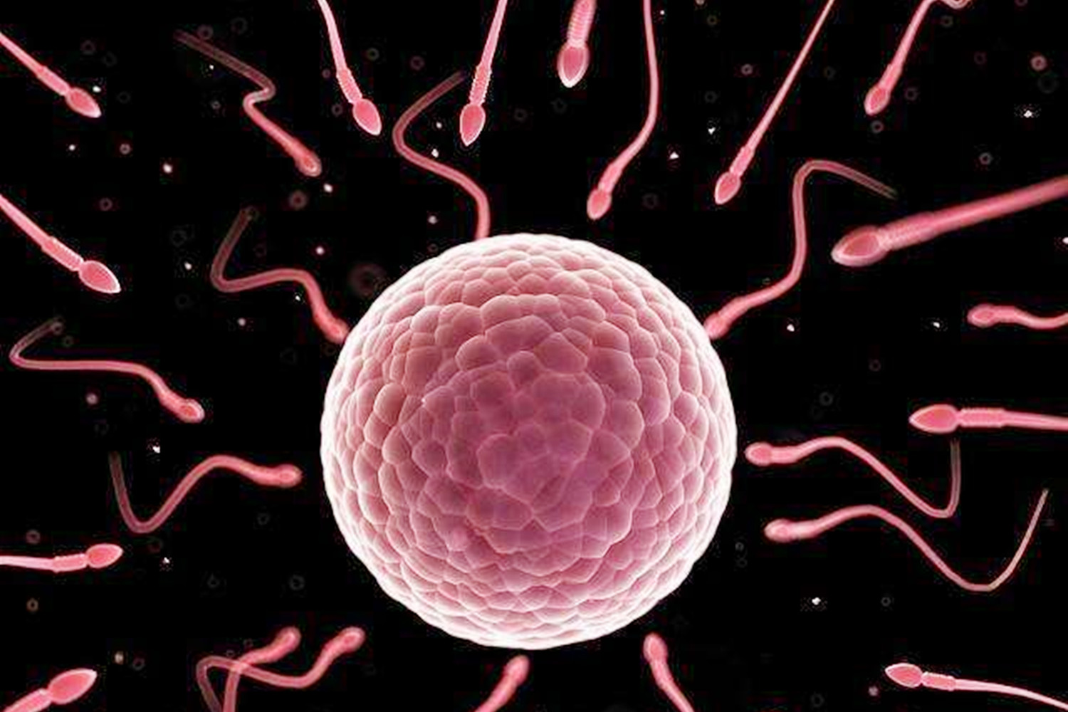 如何判断怀孕？胚胎着床时，女人会有这几种感受，你感受到了吗