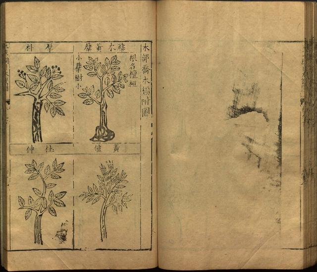 李时珍与本草纲目ppt课件,神农本草经正版李时珍书籍