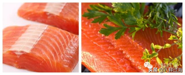 有人拿什么鱼冒充三文鱼,怎么分清楚真假三文鱼