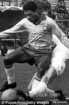 绰号和动物有关的巴西球星,巴西足球名将绰号小鸟