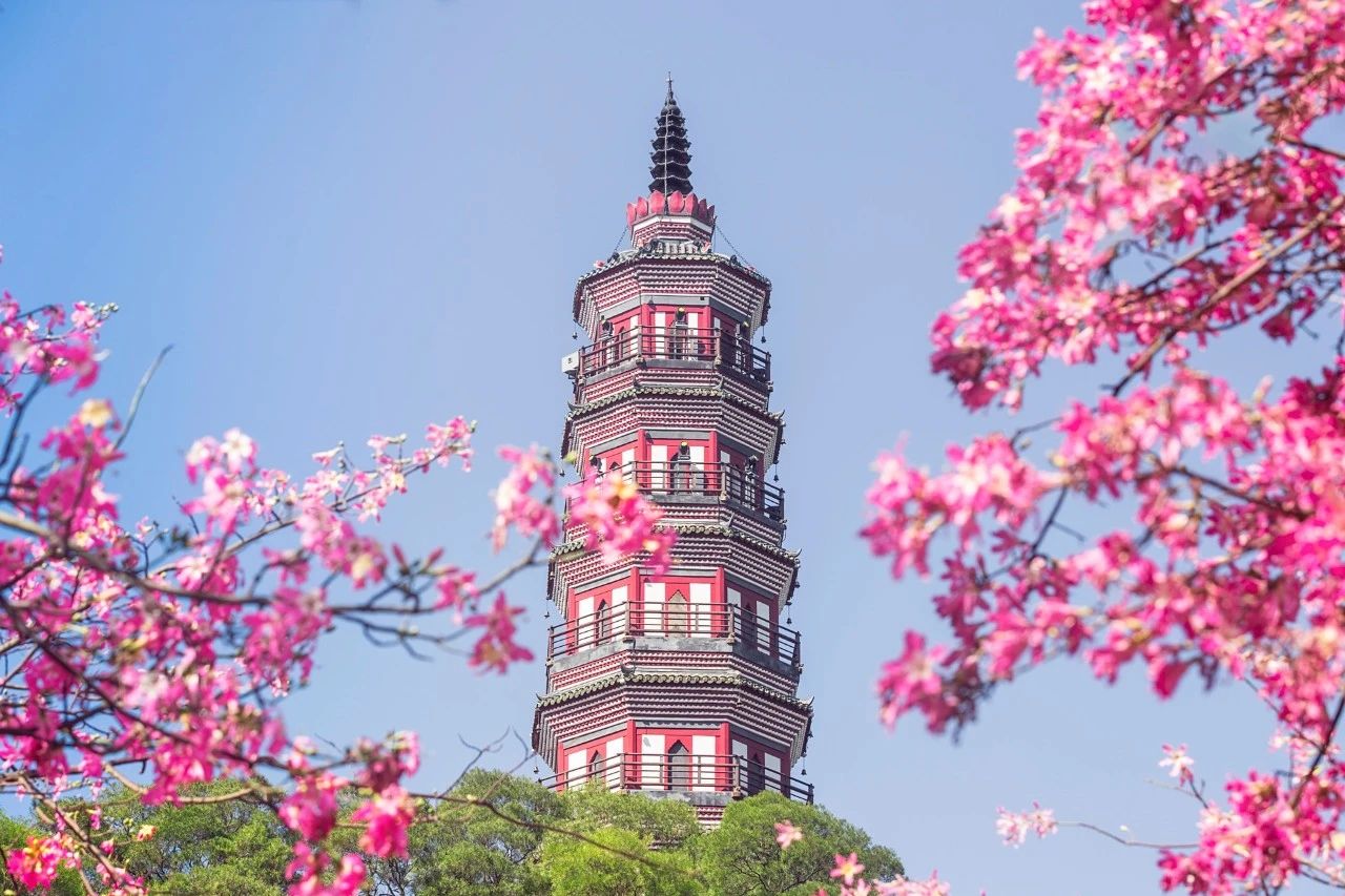 暮春十大经典诗词,七首唯美暮春诗词