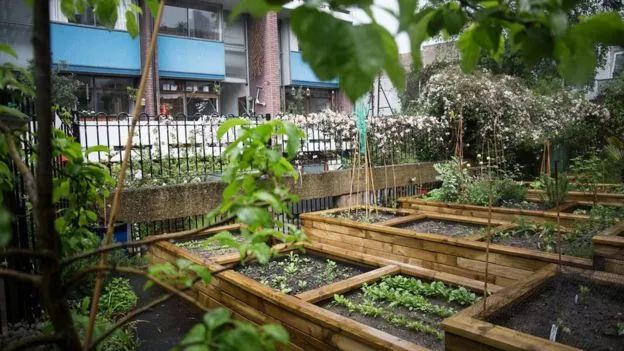 浼︽暒缁垮湴鑺卞洯,浼︽暒缁垮湴鑺卞洯瑙嗛