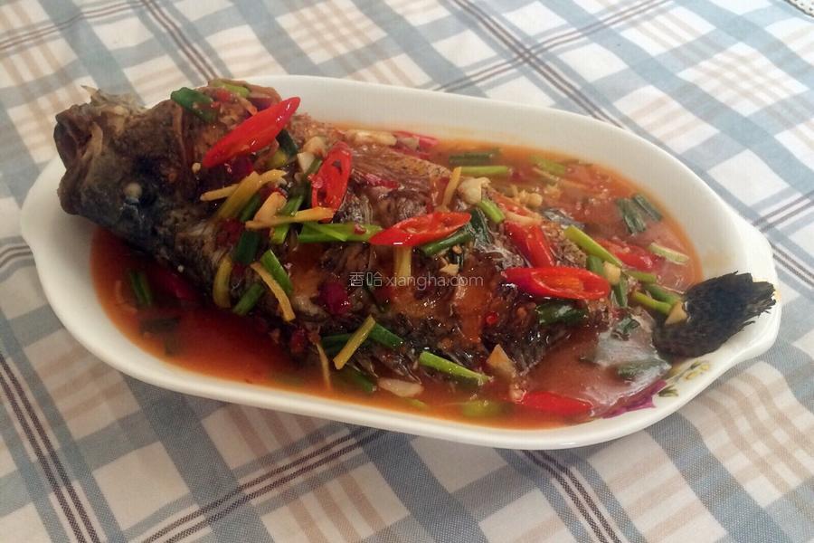 简单又好吃的炖鱼做法,最简单家庭炖鱼做法微辣