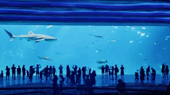 广州长隆最省钱玩法,最实惠广州长隆攻略