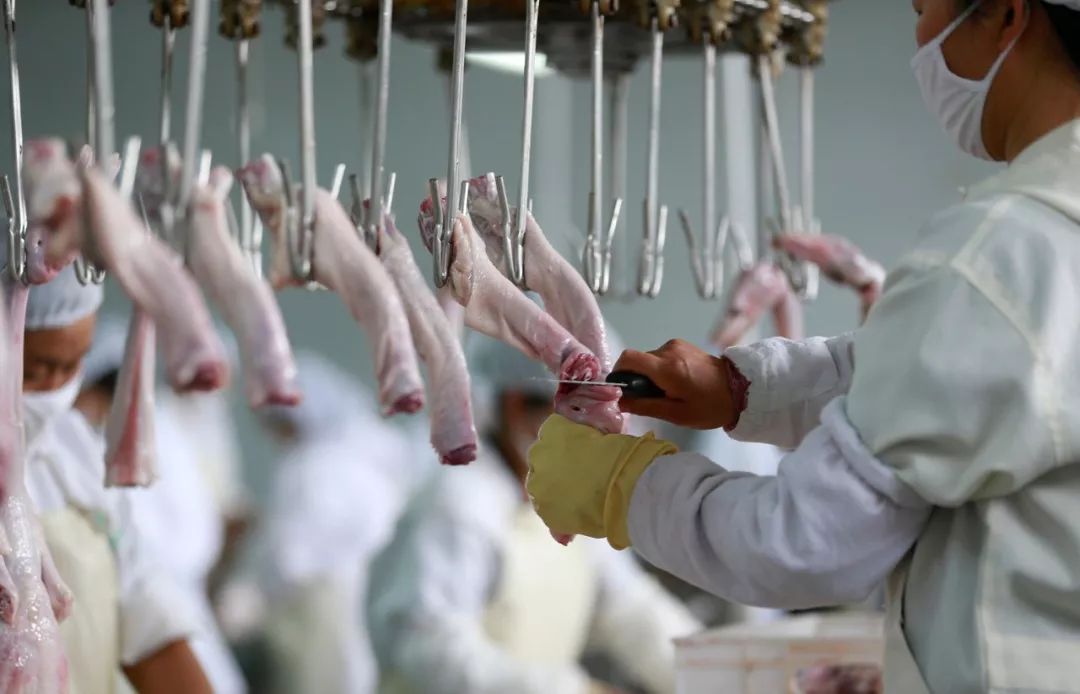 周黑鸭加盟门店多少家,2020年周黑鸭600家特许加盟店