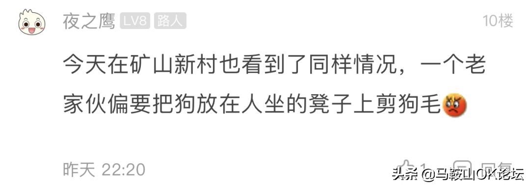想不通！马鞍山这些‘垃圾人’还可以这么任性？