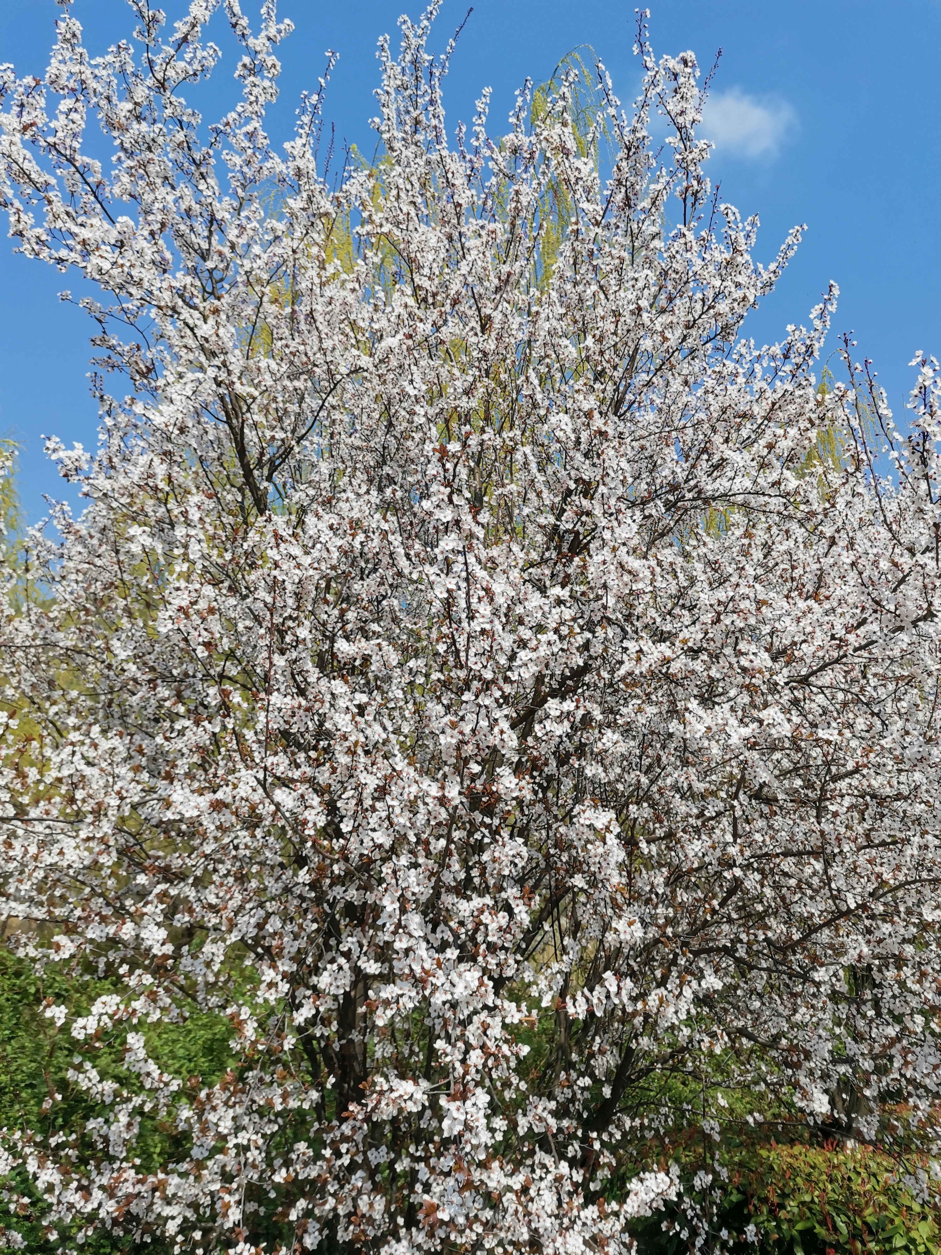 苏州石湖风景区旅游攻略,苏州石湖旅游攻略