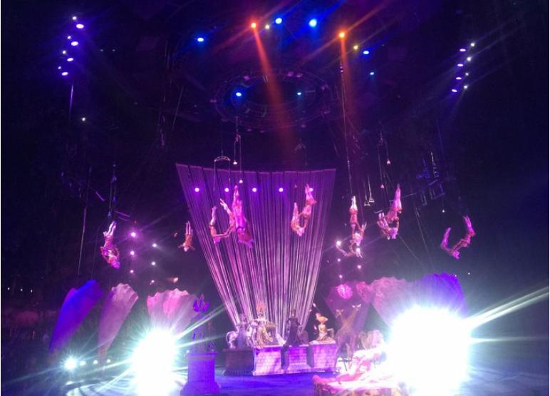 团队自驾游南澳岛旅游攻略,自驾广州长隆3天2夜亲子游攻略