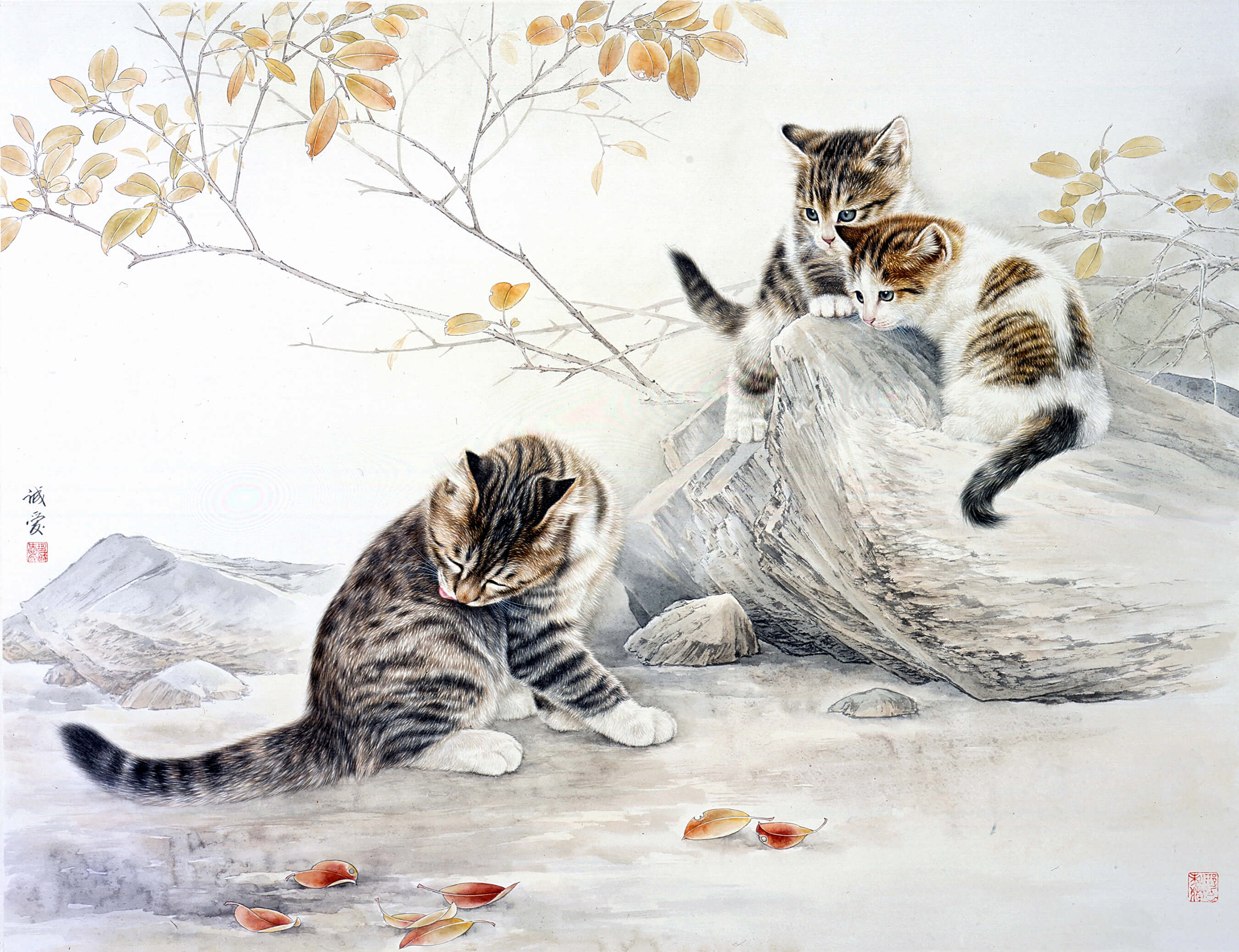 邢诚爱工笔猫画法,邢诚爱工笔画猫兔子高清大图