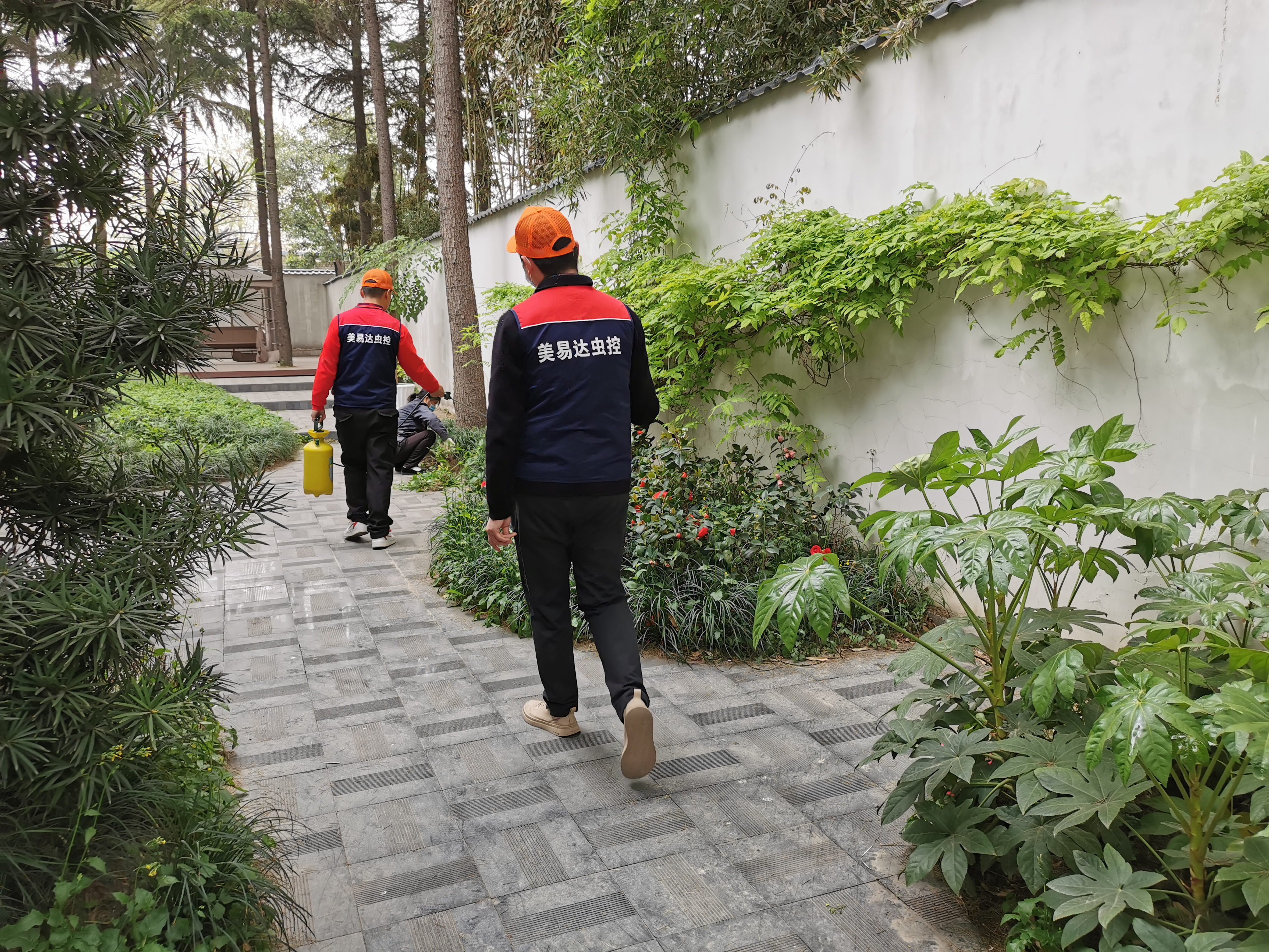 西安除虫灭蟑螂公司,陕西除虫灭蟑螂方案