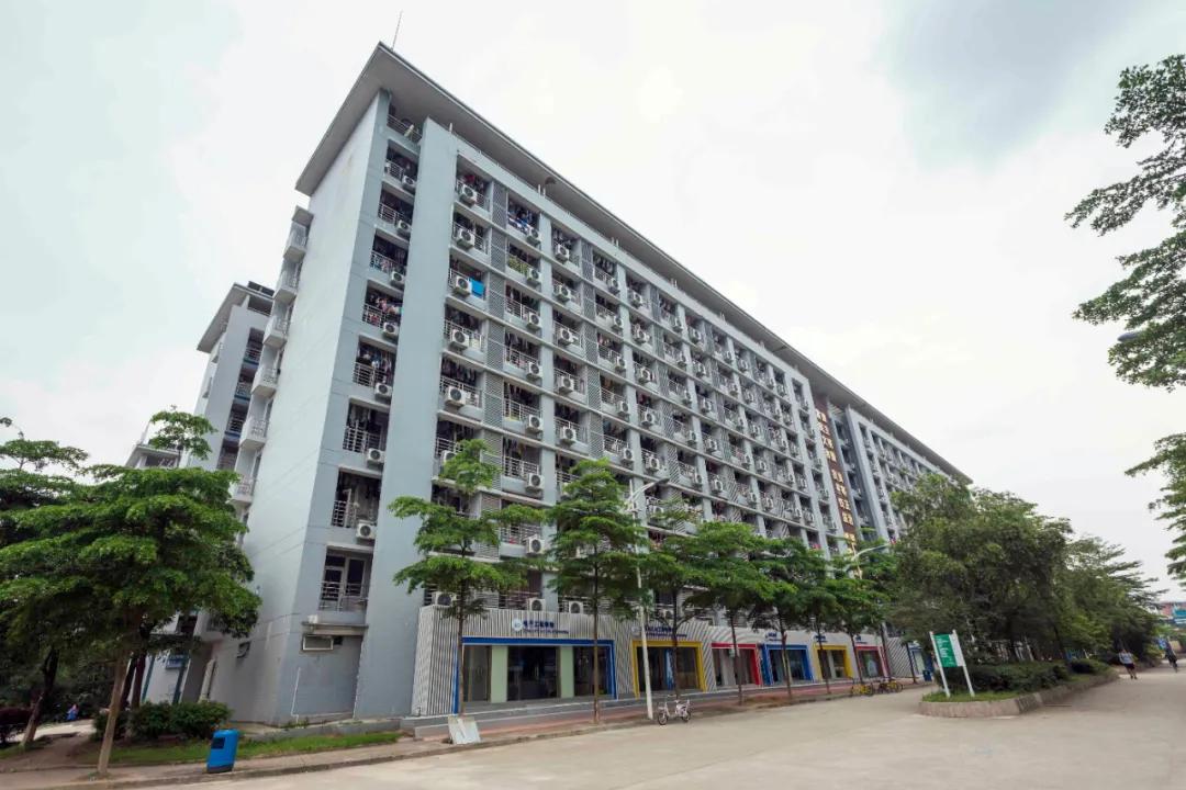 报考华南农业大学,华农报录比