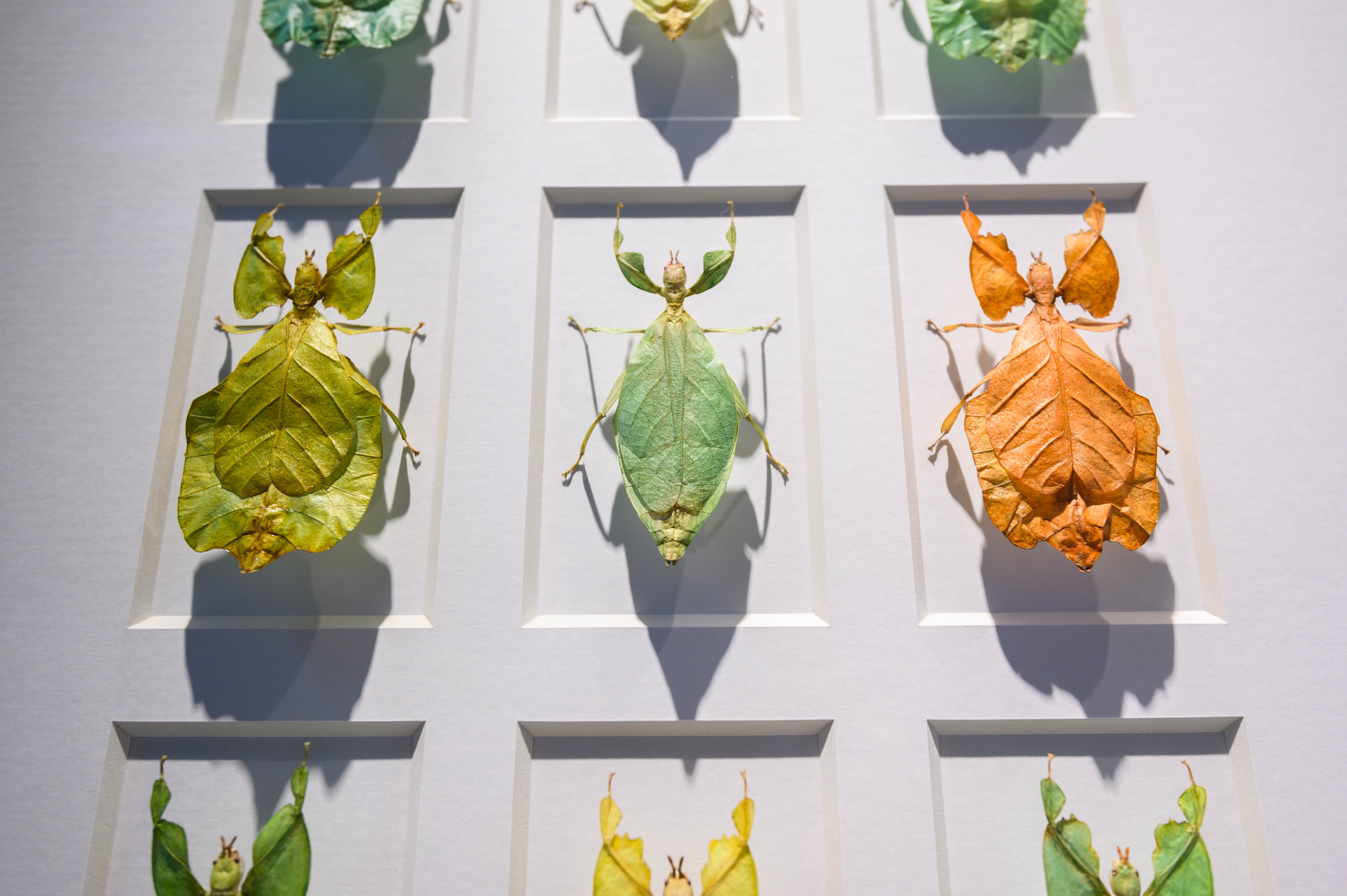 知道乌村吗，孩子来了就不愿离开，住乌村去西栅可以省150元