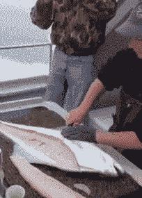 搞笑gif趣图兄弟们来跟我一起摇摆,大哥搞笑动图gif