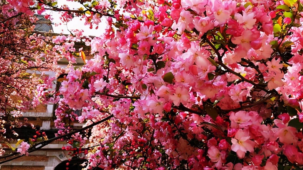 男人越喜欢你越不跟你说话为什么,男人越喜欢你越不和你说话