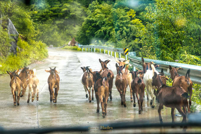 朝天三天旅游攻略,朝天区旅游攻略自驾游