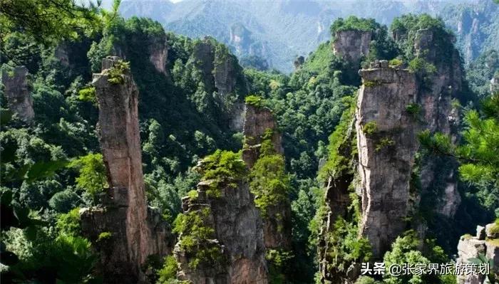 自由行张家界吃住旅游攻略,张家界旅游自由行详细攻略