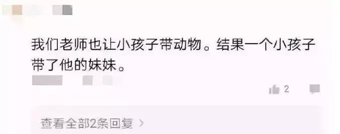 幼儿园手工作业逼疯家长,幼儿园手工作业难倒家长系列