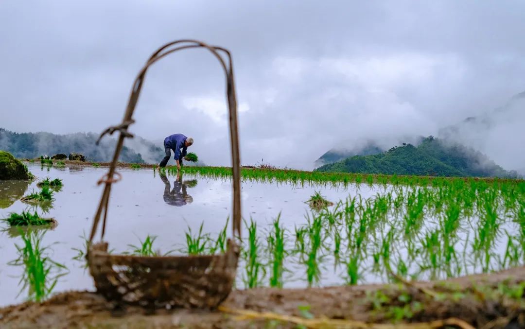 南方人不懂北方人天天吃面,南方人的锅贴北方人不懂