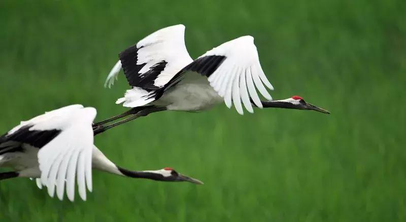 五一放五天假能去哪玩,五一假去哪玩比较合适