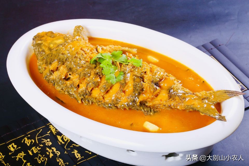 四大家鱼为什么那么难吃,四大家鱼之首的青鱼为何可怕