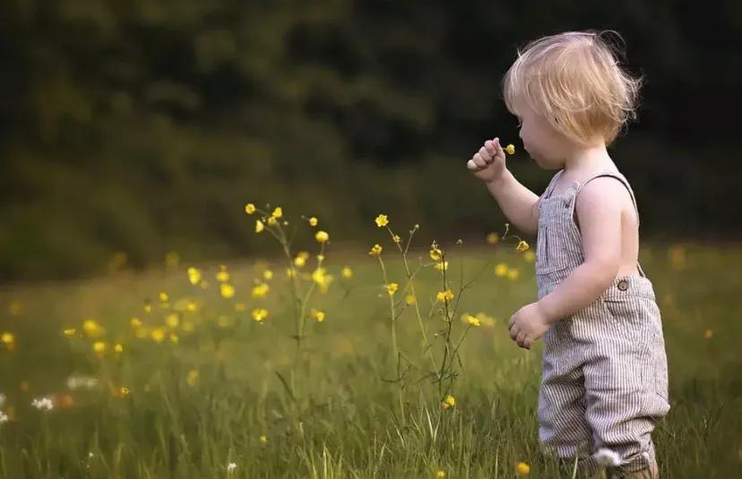 天道中丁元英为什么给刘冰一根烟,天道丁元英为啥要给刘冰白纸