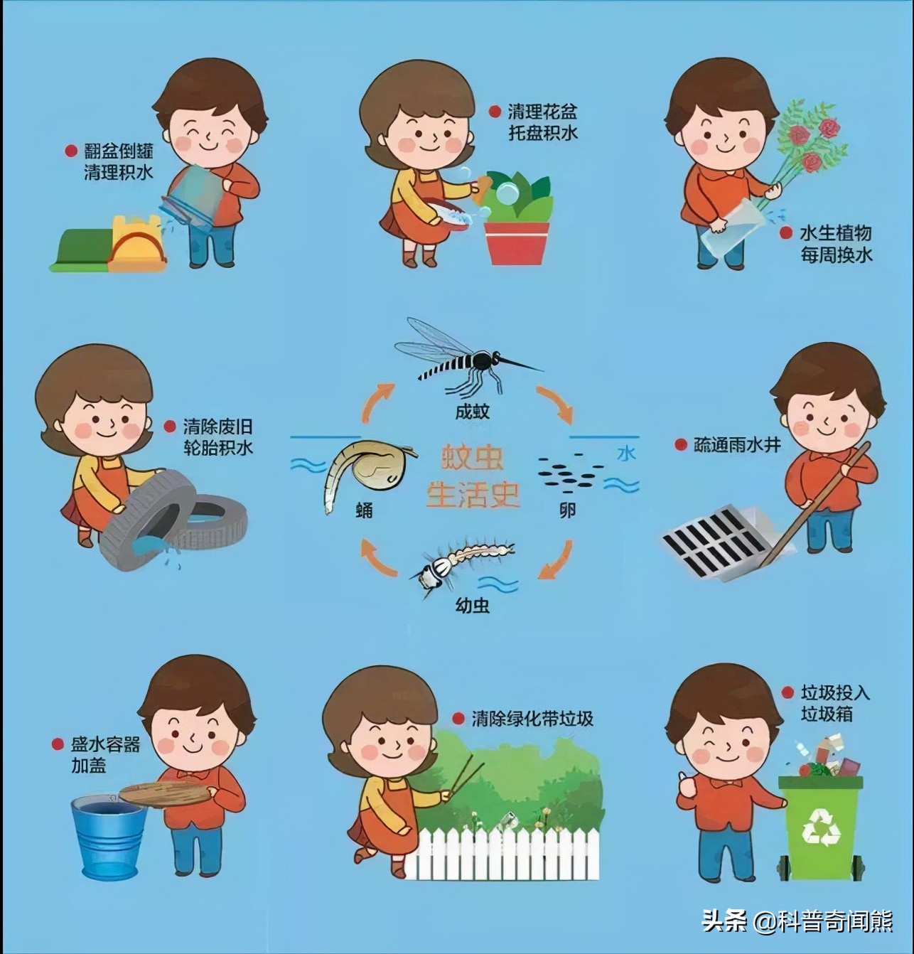 苍蝇有什么生活小常识,为什么苍蝇不会生病