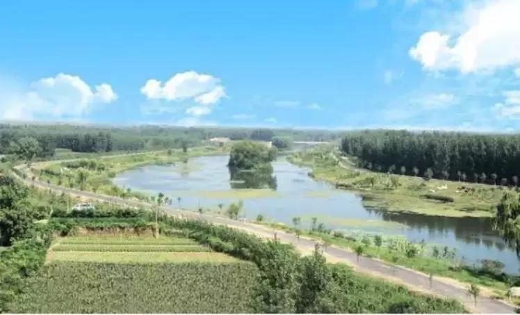 什么地方出产的人参最好最正宗,野生人参是什么时候播种和栽培