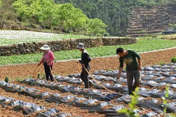 农村未来3-5年的商机,农村将迎来5个好消息是什么