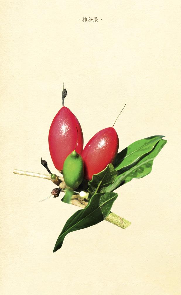 橙子橘子柚子柠檬树哪个开花最香,柚子柑橘橙子之间的关系