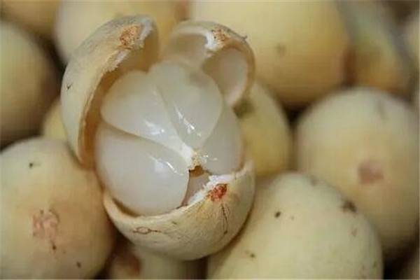 印尼特点水果有哪些,印尼三大名贵水果