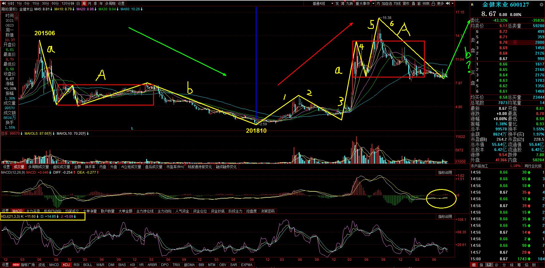 600127金健米业最新消息,金健米业股票怎么样详细介绍