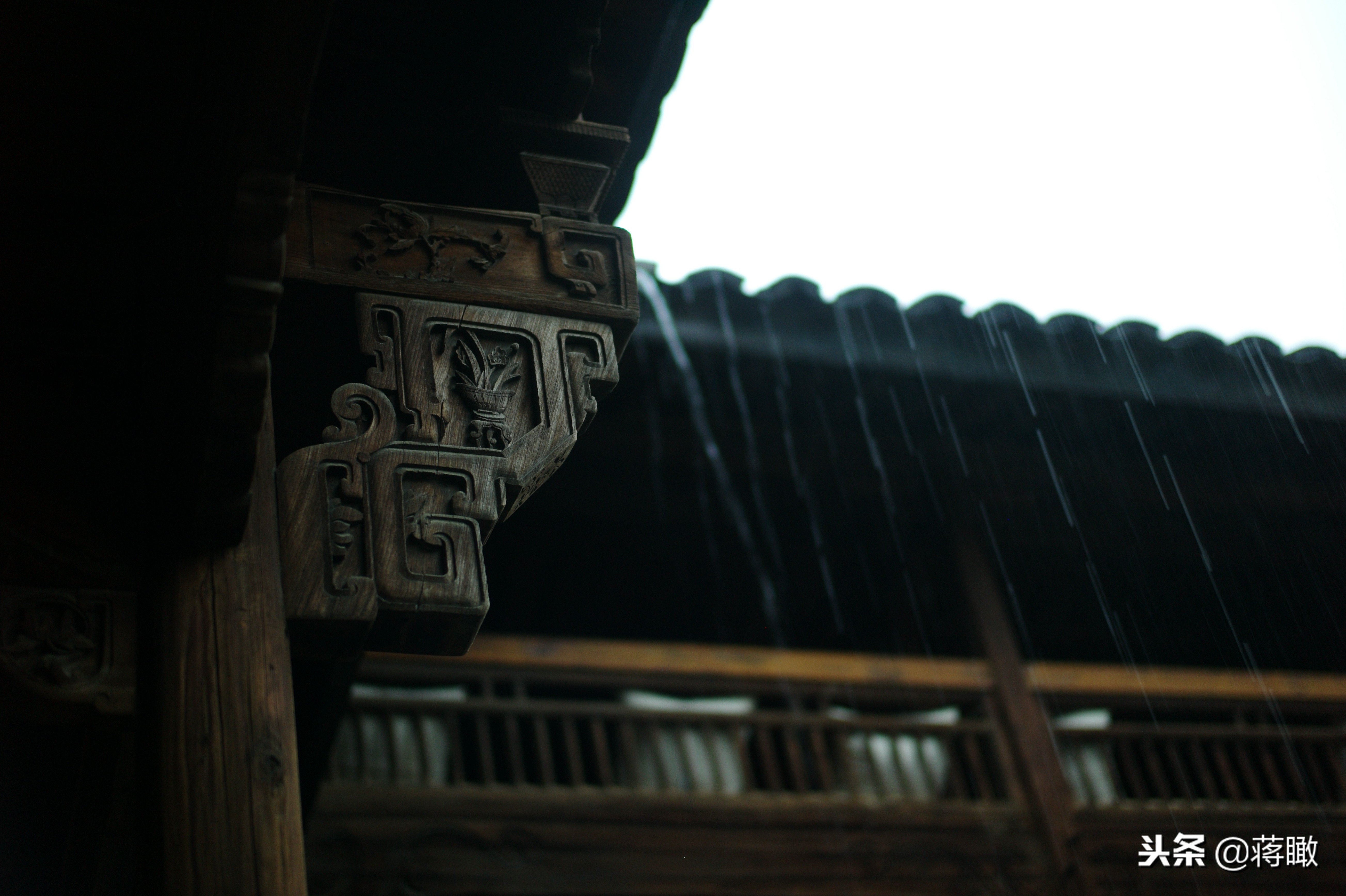 松阳，会是下一个理想国么？