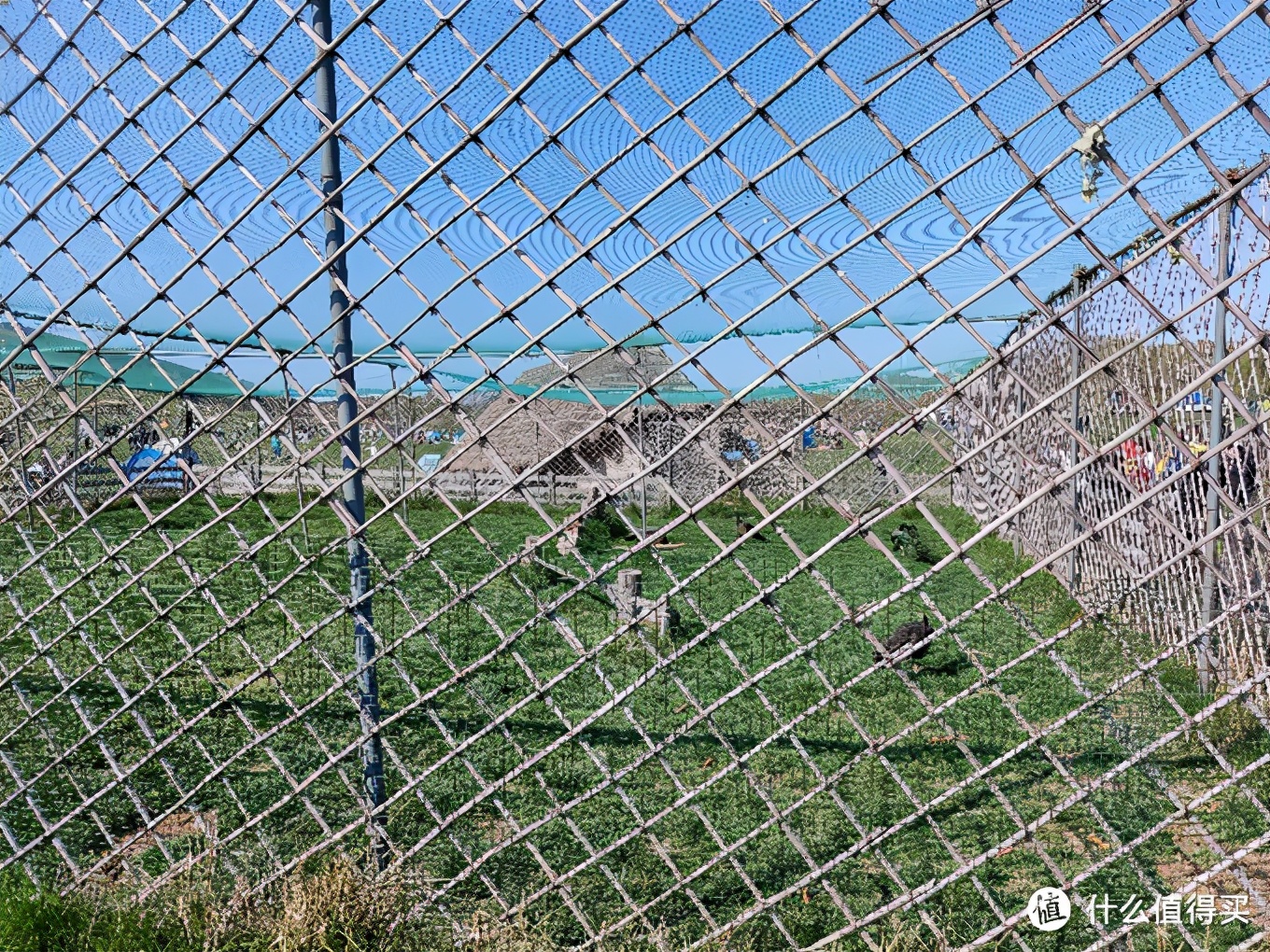 五一大连三寰牧场,大连三寰牧场旅游攻略