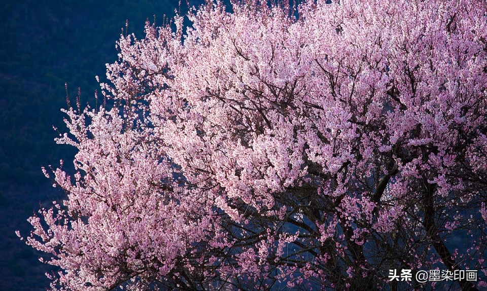 清明节拍摄风景图片,清明节全家踏青照片如何拍摄