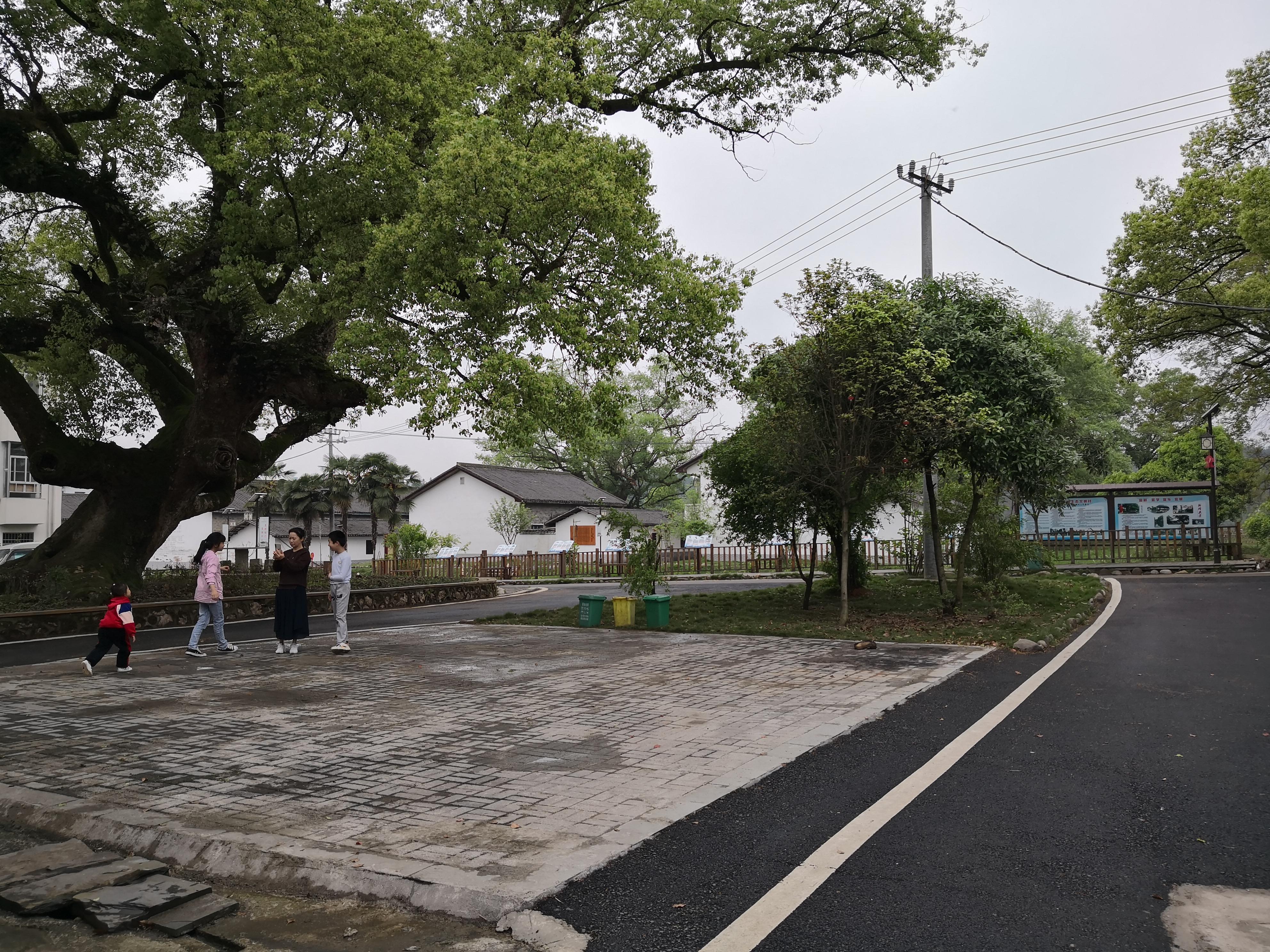 妈妈那边的亲戚称呼大全,山东亲属称呼大全