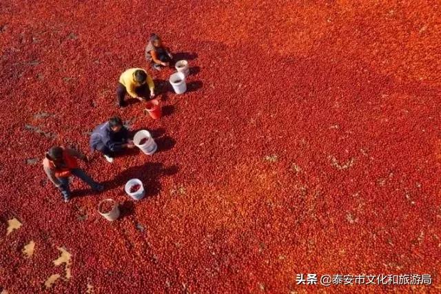 马上过年了买点北方的特产,快过年了有什么东西送给家人