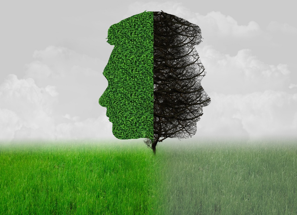 人生感悟生活很累但要继续,努力让自己的生活状态越来越好