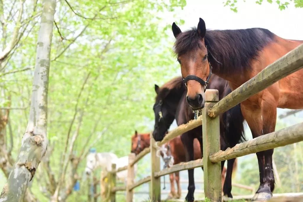 裸心谷裸心堡价格,裸心堡和裸心谷哪个风景好