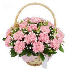 教师节送给老师的礼物手工折花,教师节送老师花还是送巧克力好