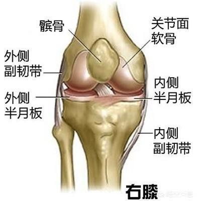 膝关节咔咔响隐隐作痛,下蹲时膝关节有小咔咔声