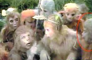 清水出芙蓉的美人照,清水出芙蓉素颜