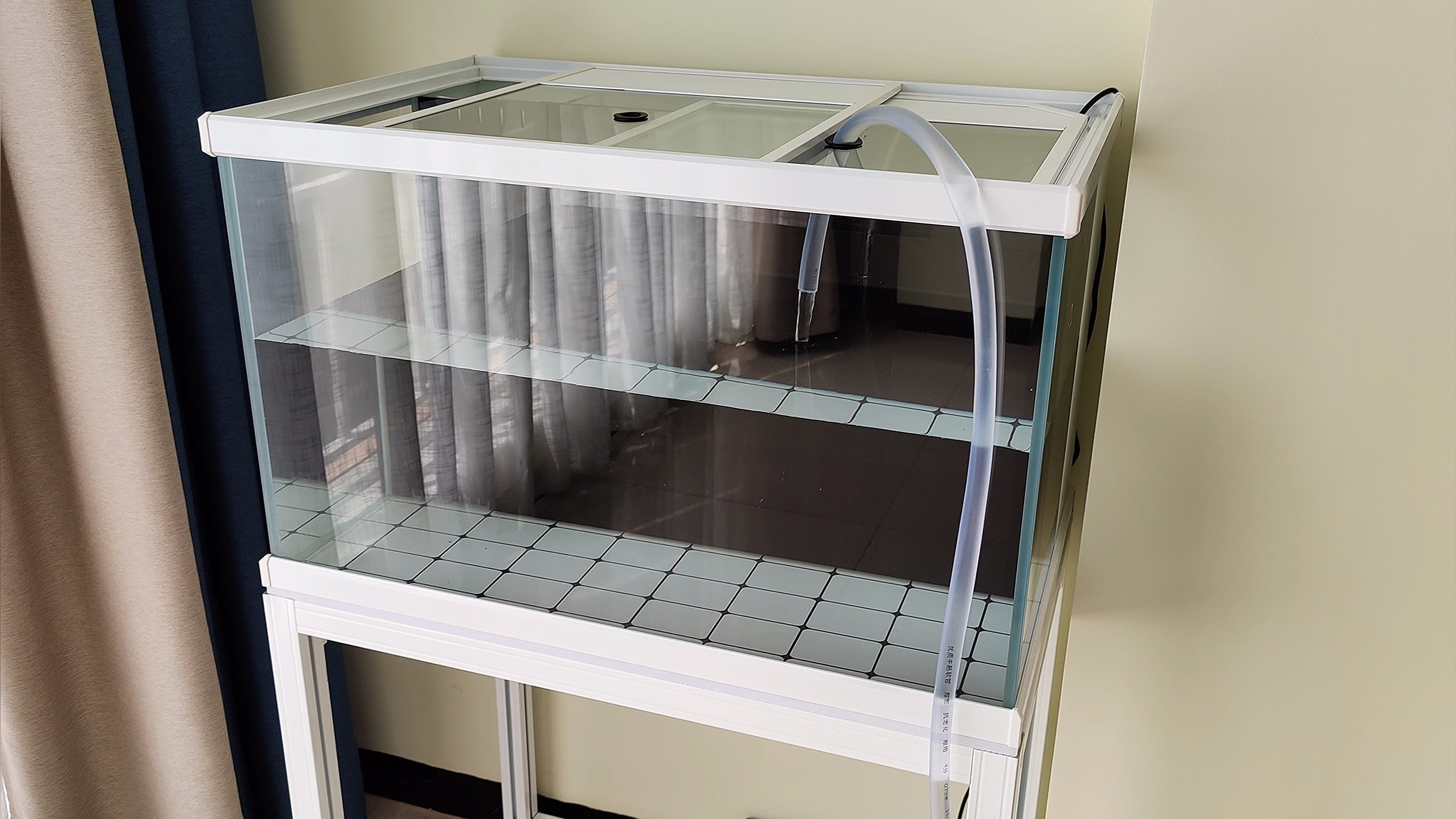 花4块钱买的小鱼缸也太便宜了,80cm的鱼缸适合养多少条发财鱼