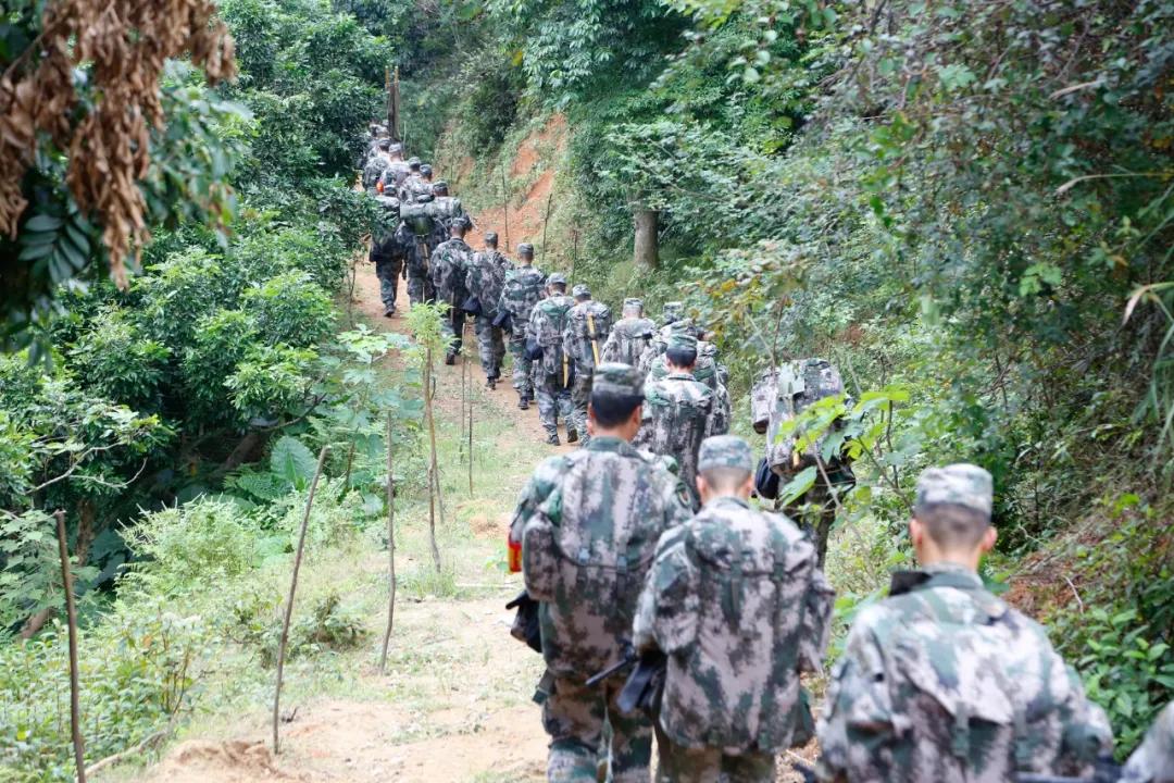 福建省军区民兵演习,战区部队的军事演练